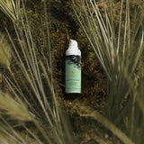 Skincare bottle on a natural background with grass and moss